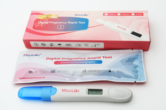 정확한 시험을 위한 단일 스텝 하크그 임신 시험 도중